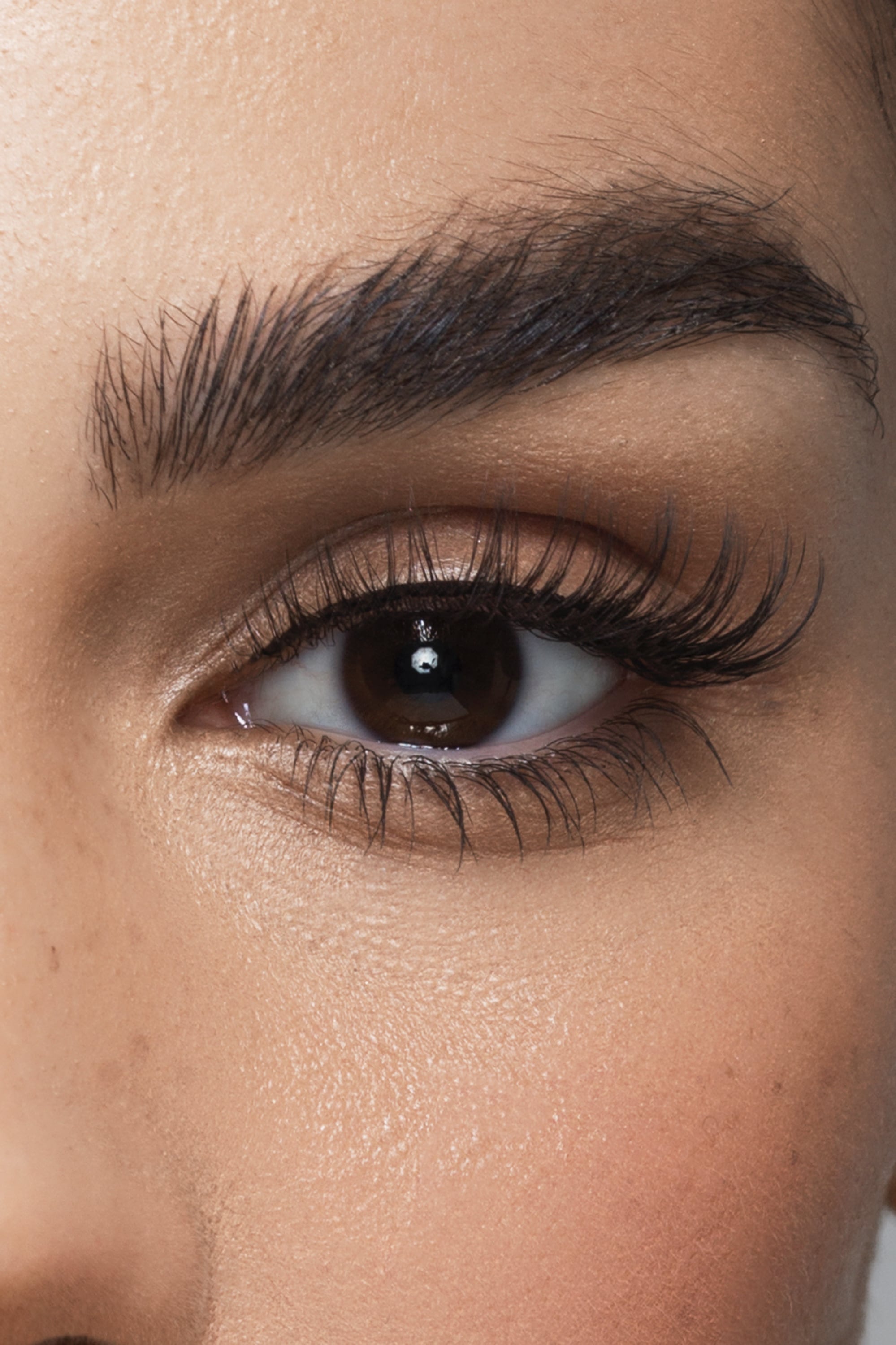 Fade - Lightweight Everyday Lashes