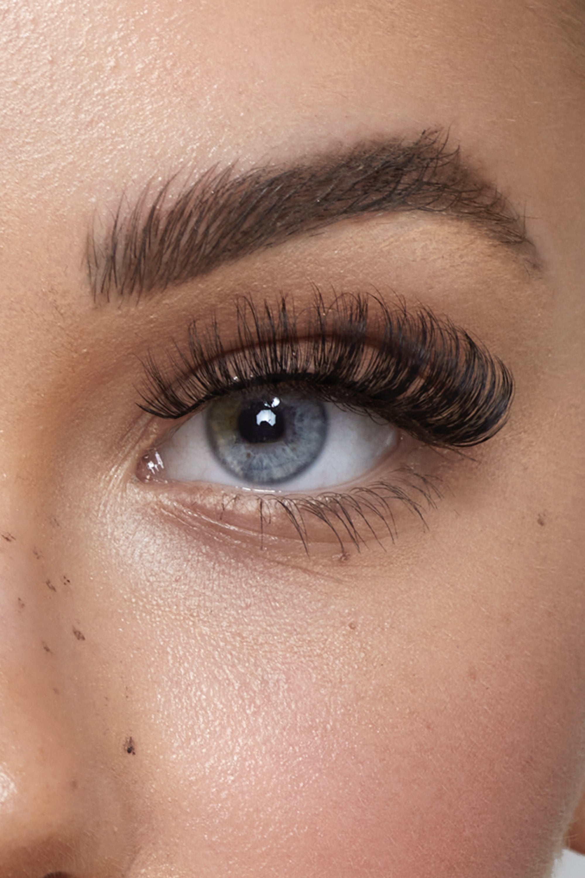 Honey - Extreme curl Russian lashes